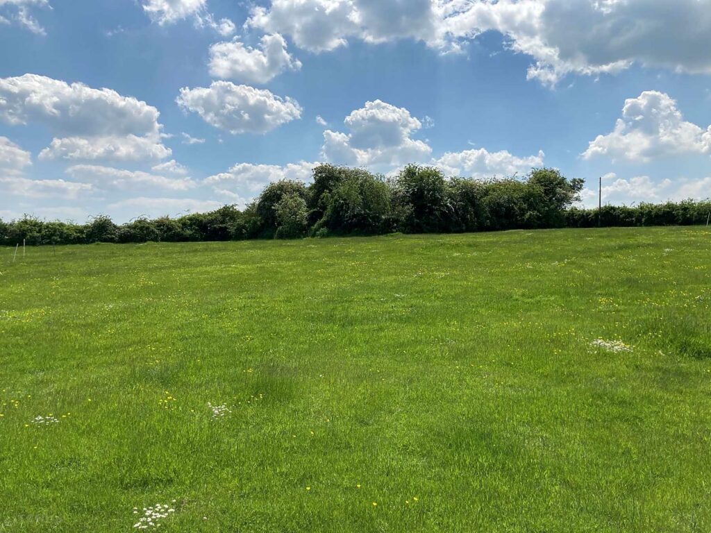 Lodge Farm Camping