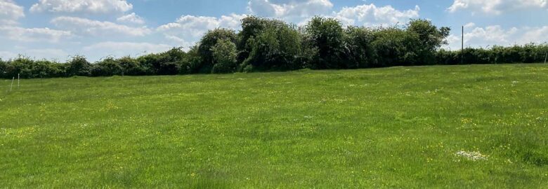 Lodge Farm Camping