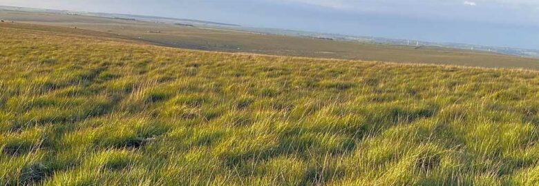 Roughtor Walks Campsite