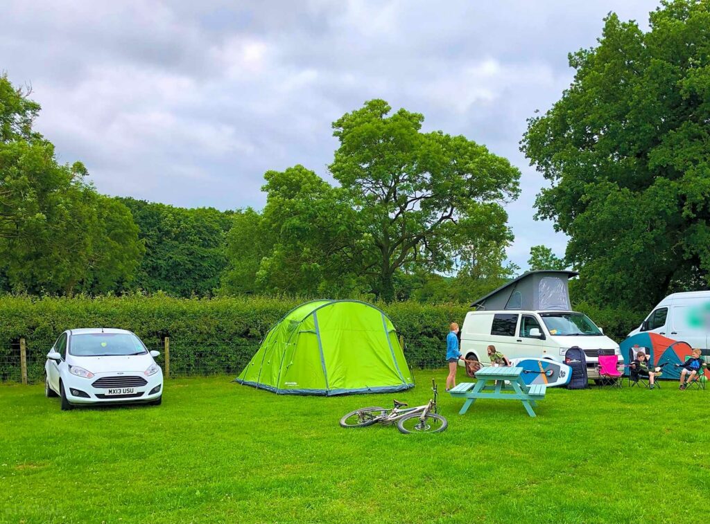 Forest View Camping