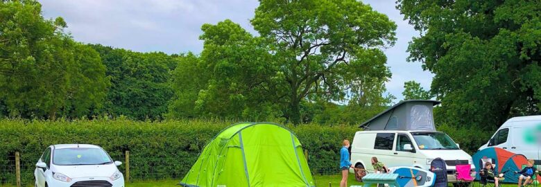 Forest View Camping