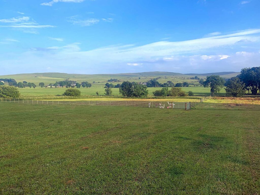 The Wee Caravan Park