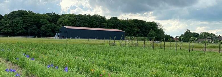 Black Barn Farm