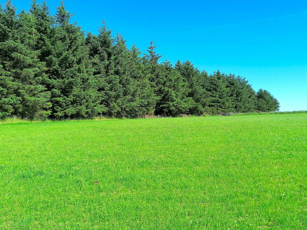 Lodgehill Campsite