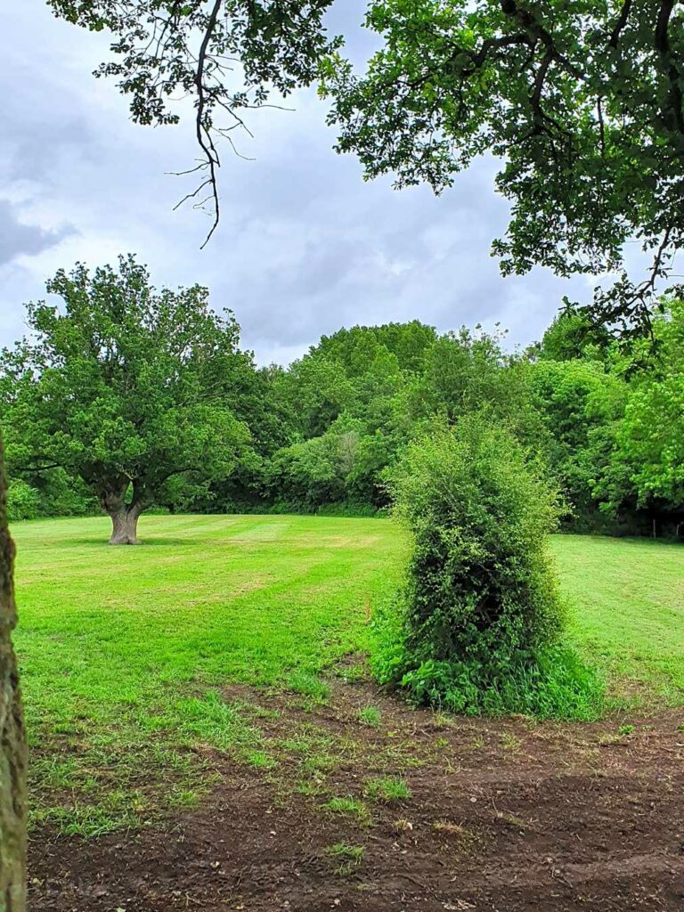Hill Top Farm Orchard Campsite