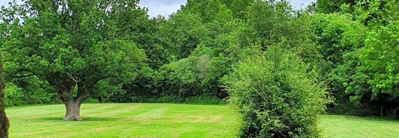 Hill Top Farm Orchard Campsite