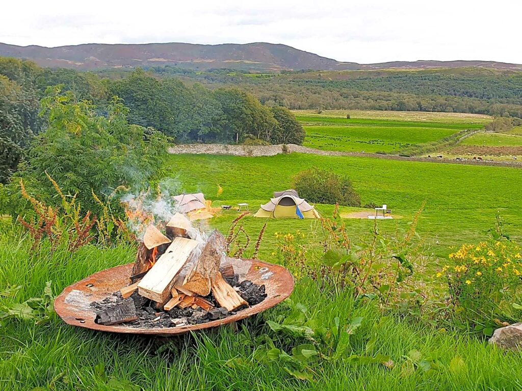 Moss Side Farm Campsite