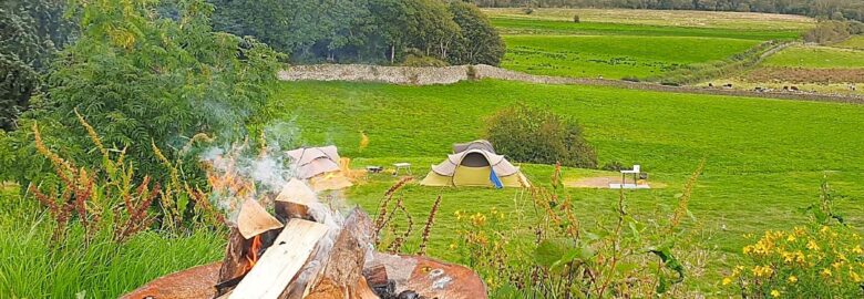 Moss Side Farm Campsite