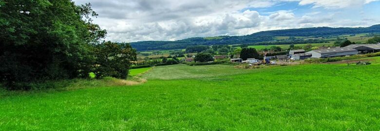 Sprigg Farm