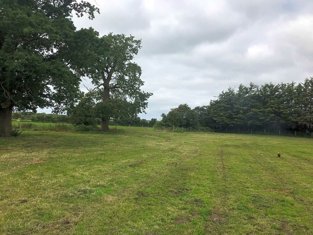 Peacock Farm Paddock