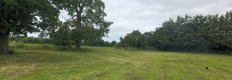 Peacock Farm Paddock