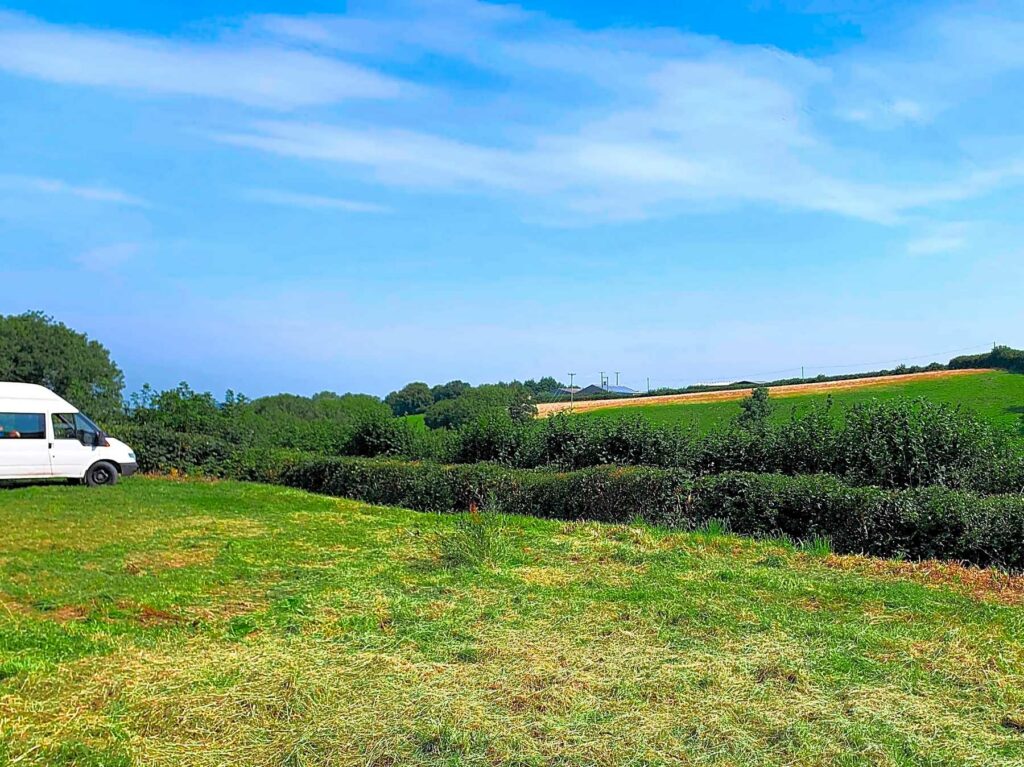 Torre View Farm