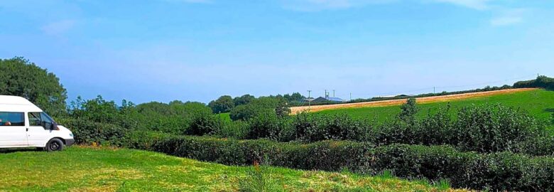 Torre View Farm