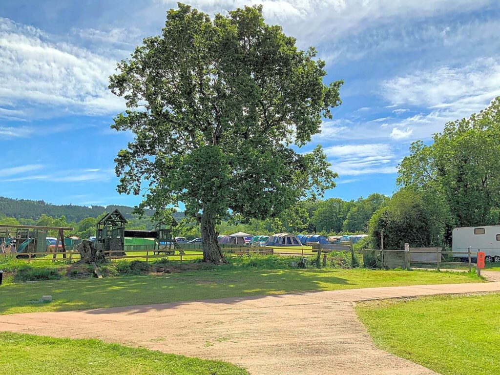 Haldon Forest Holiday Park