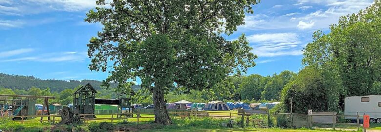 Haldon Forest Holiday Park