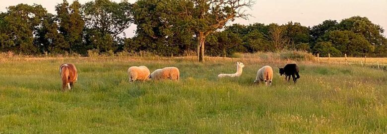 Huggle Farm