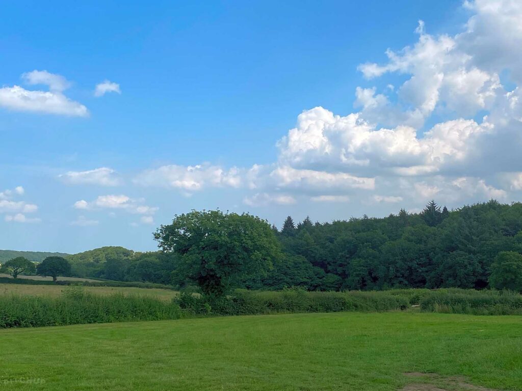 Unthank Lane Farm