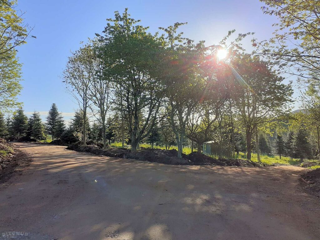 Kessock Caravan Park
