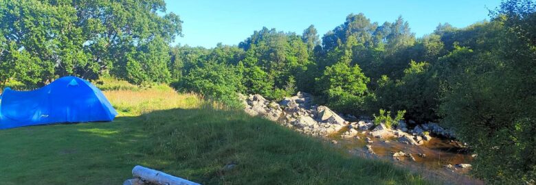 Dall Cottage Camping