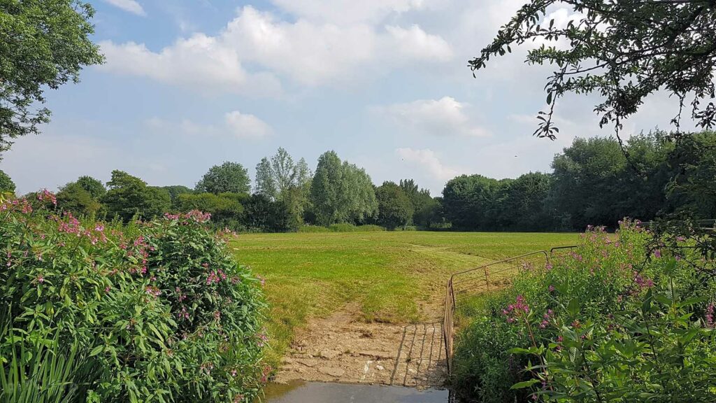 Bridge Field