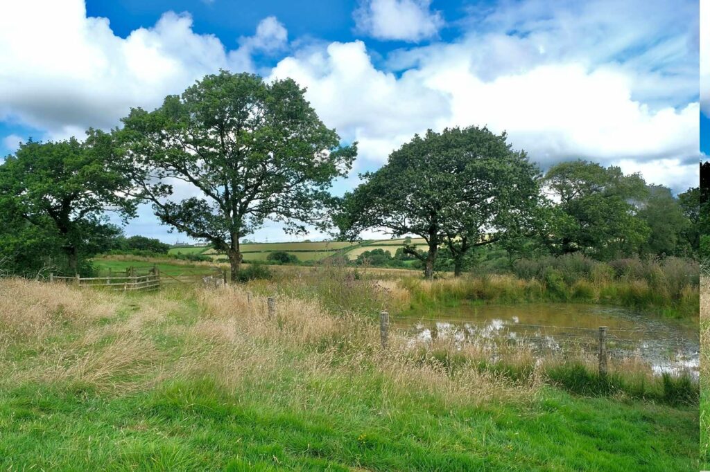 Milkmaid Meadow Campsite