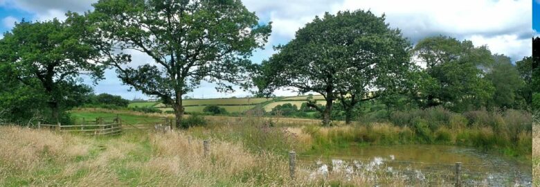 Milkmaid Meadow Campsite
