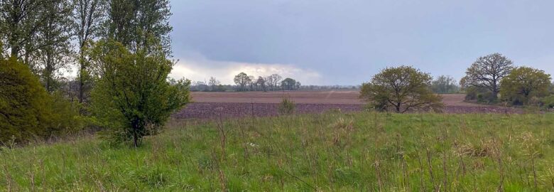 Farndon Tent Camping Meadow