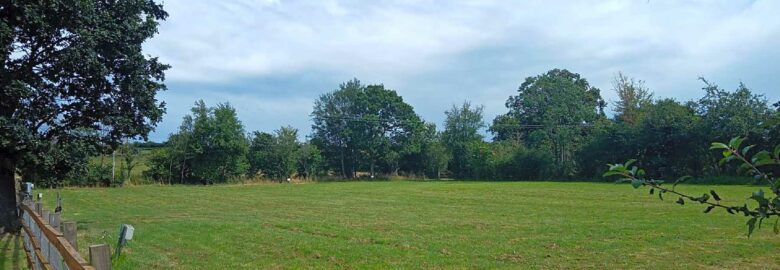 The Royal Oak Campsite
