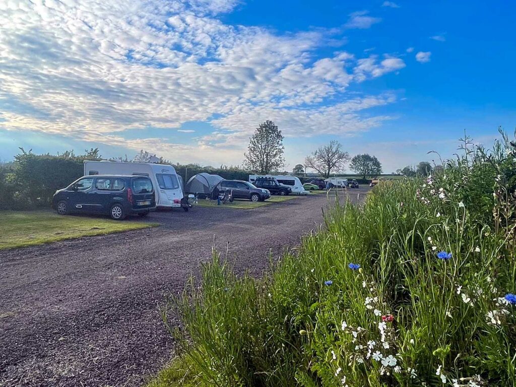 Yellowtail Camping