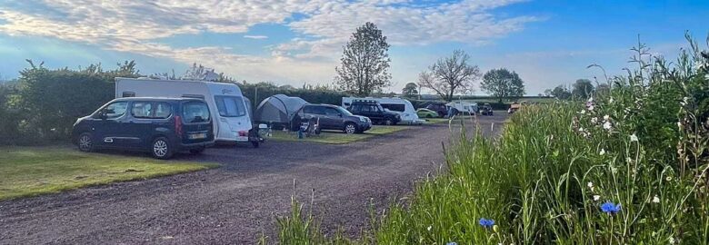 Yellowtail Camping
