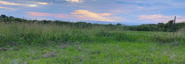 Tintagel Duck Farm Campsite