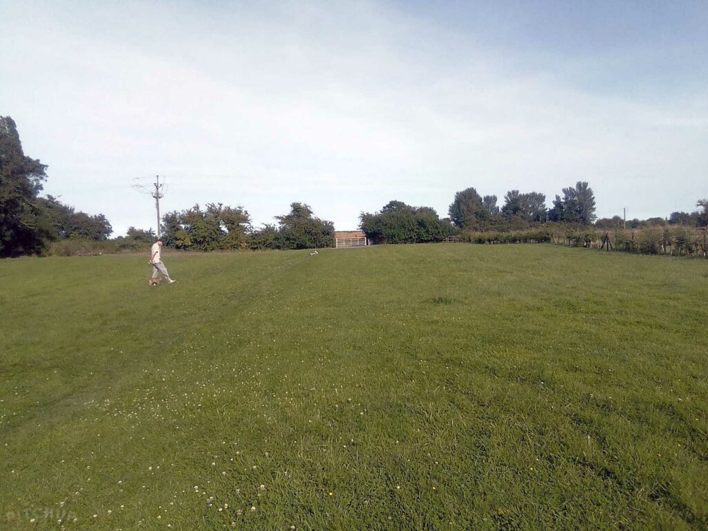 Field View