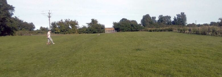 Field View