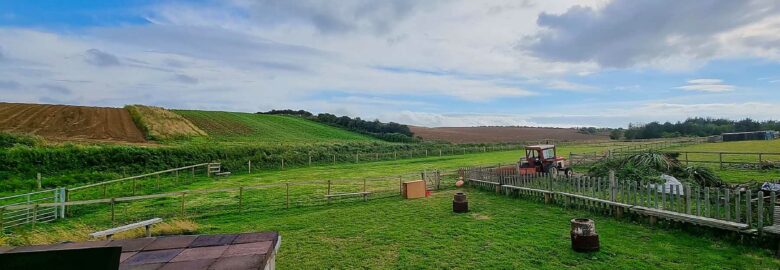 Kingston Smallholding Goat Farm Campsite