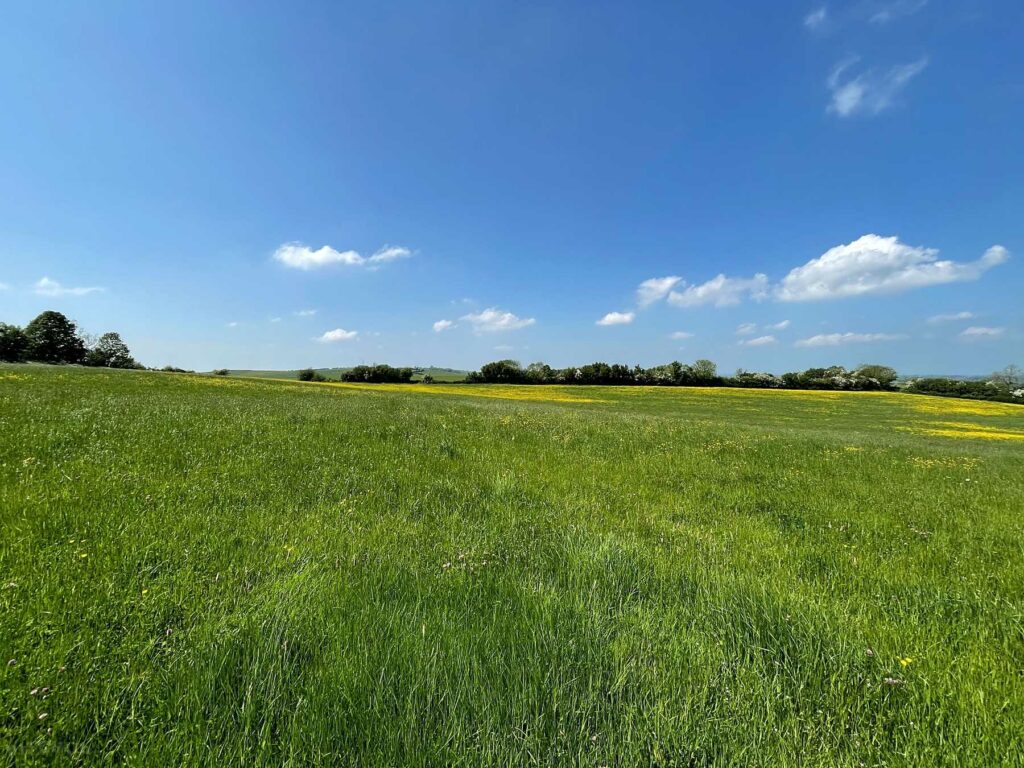 Pitchcott Farm