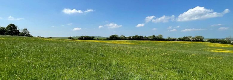 Pitchcott Farm