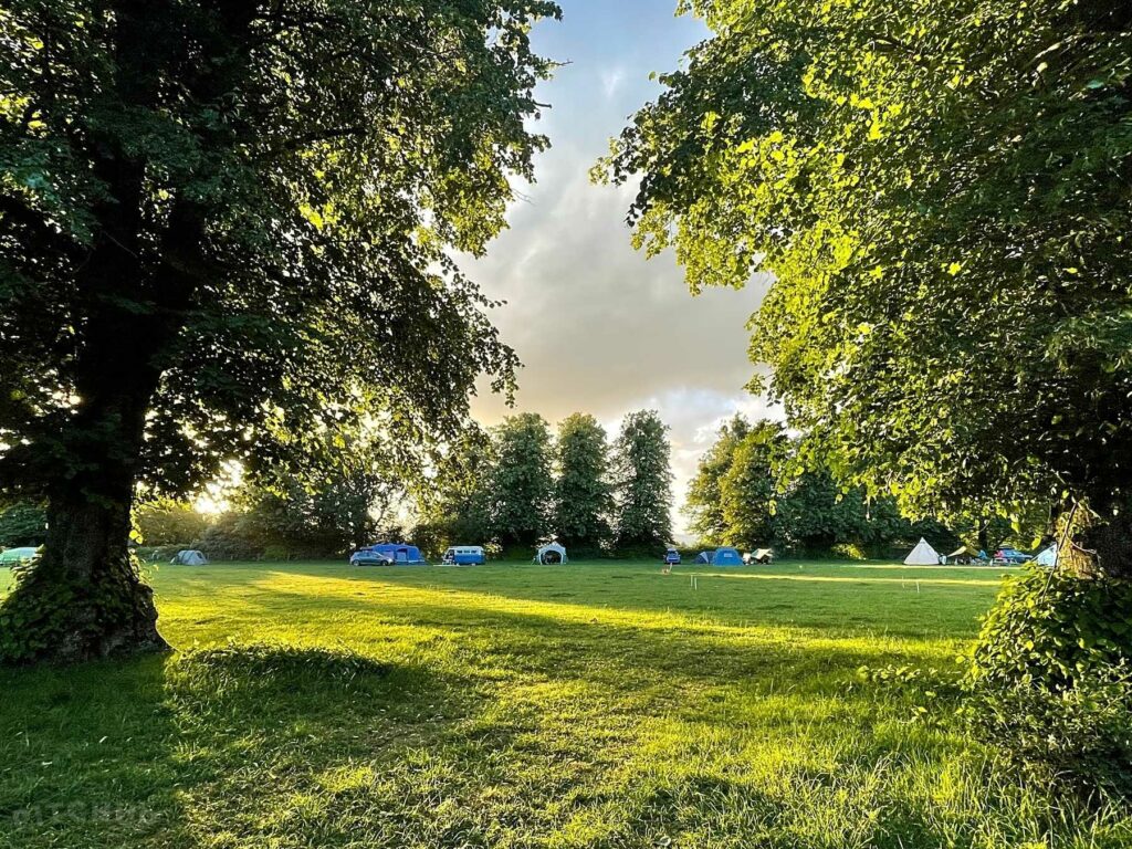 Harry’s Meadow