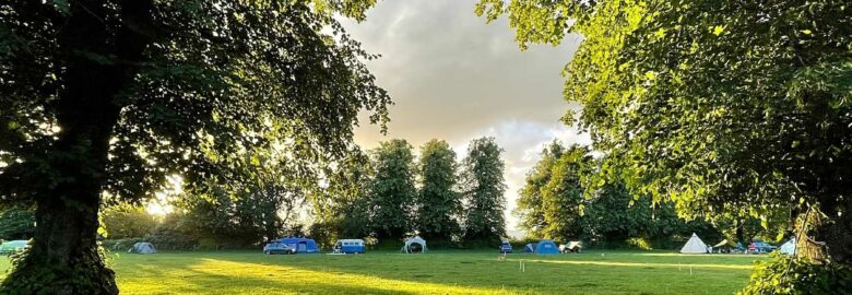 Harry’s Meadow