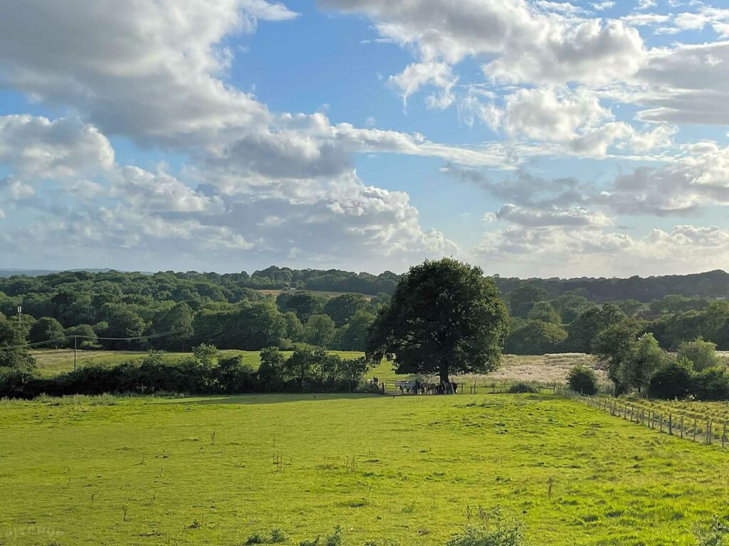 Morleys Farm