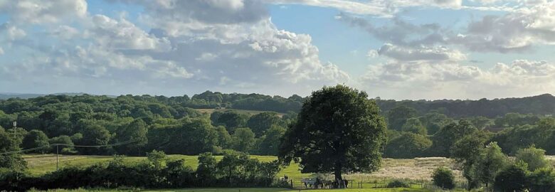 Morleys Farm