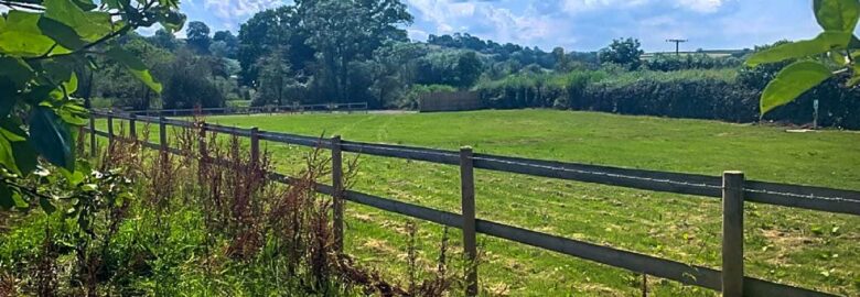 Orchard View