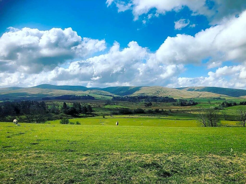 Netherings Campsite