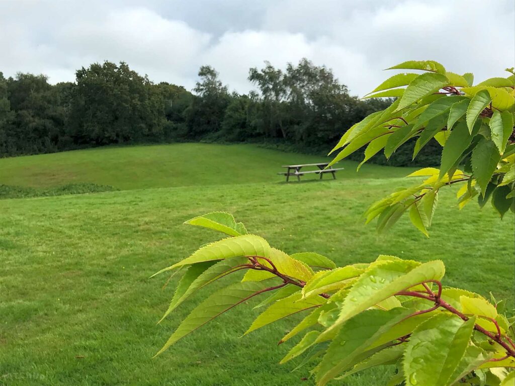 Oak Valley Camping