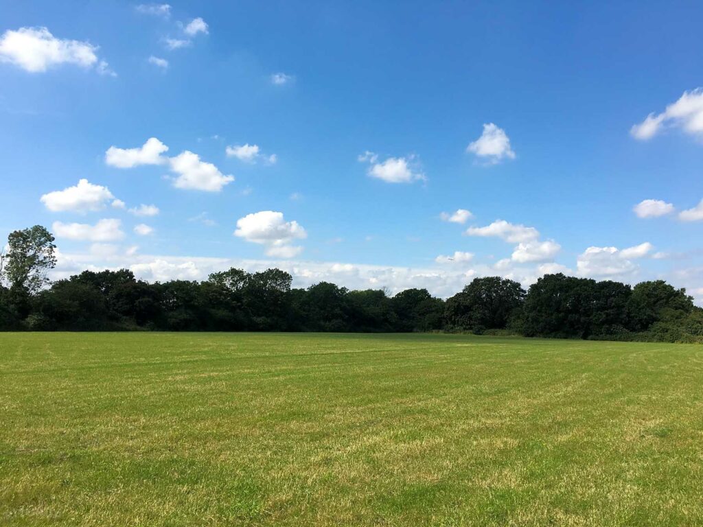 Meadows Edge