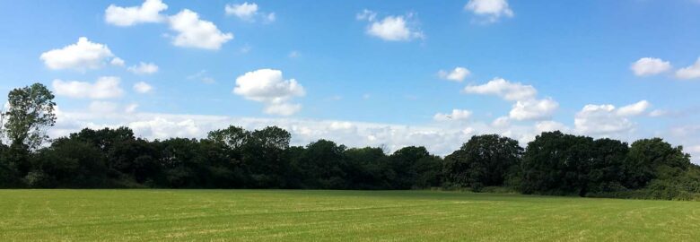 Meadows Edge