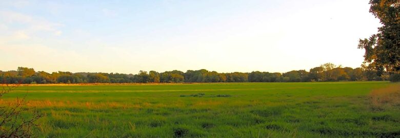 Grove Fields Camping