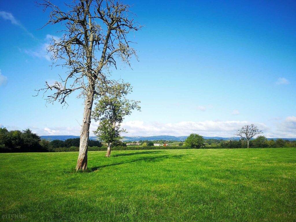 Gramp’s Field