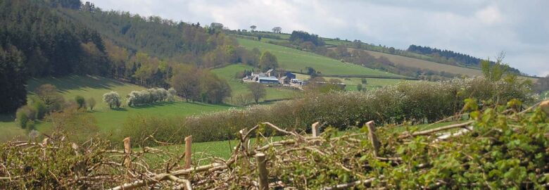 Woodbatch Camping and Glamping