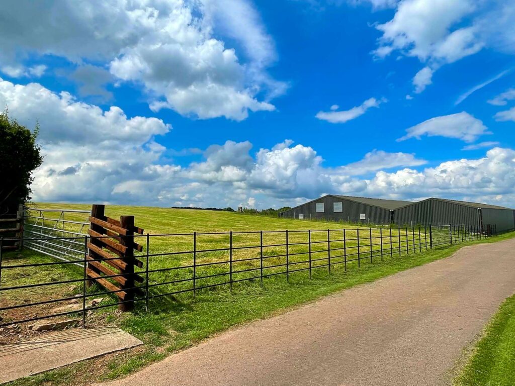 Hollingwood Farm
