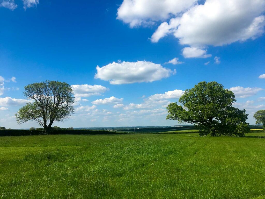 Pightle Farm